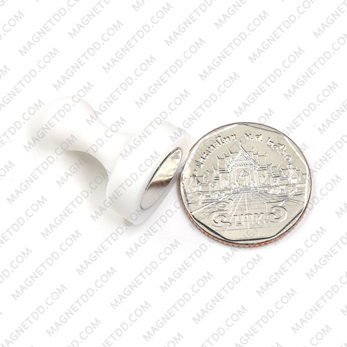 พินแม่เหล็กแรงสูง Magnetic Push Pins 19mm x 25mm สีขาว แม่เหล็กถาวรนีโอไดเมี่ยม NdFeB (Neodymium)