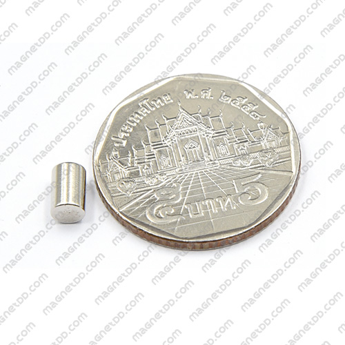 แม่เหล็กแรงสูง Neodymium ขนาด 4mm x 6mm แม่เหล็กถาวรนีโอไดเมี่ยม NdFeB (Neodymium)