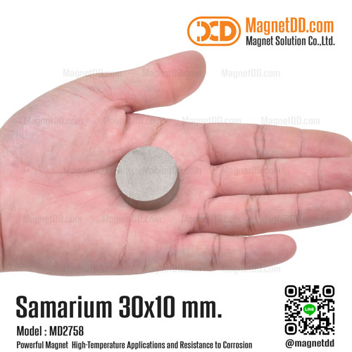 แม่เหล็กแรงสูงทนความร้อน Samarium 30mm x 10mm Se