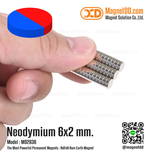 แม่เหล็กแรงสูง Neodymium 6mm x 2mm - Diametrically Magnetized Diametrically Magnetized
