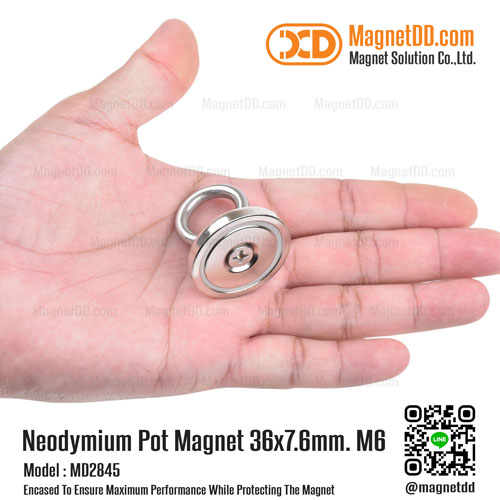 Mounting Magnet ขนาด 36mm x 7.6mm พร้อมห่วงสแตนเลส แม่เหล็กเก็บของ