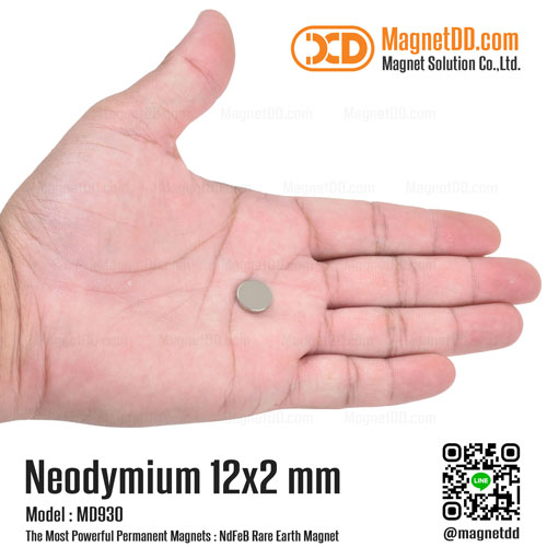 แม่เหล็กแรงสูง Neodymium ขนาด 12mm x 2mm